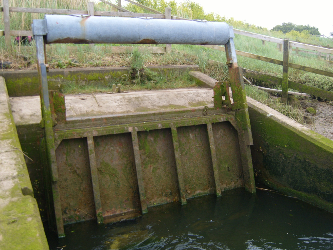 Tide gate modifications for eel and sea trout ICER